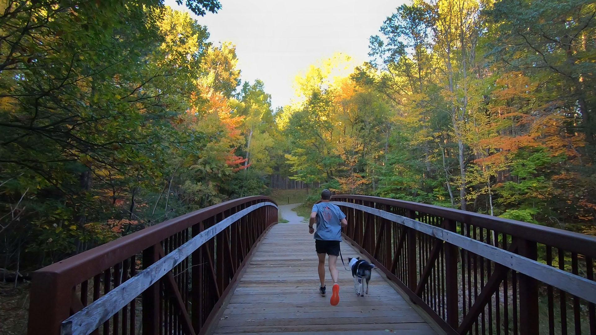 Running with a dog at Days River.