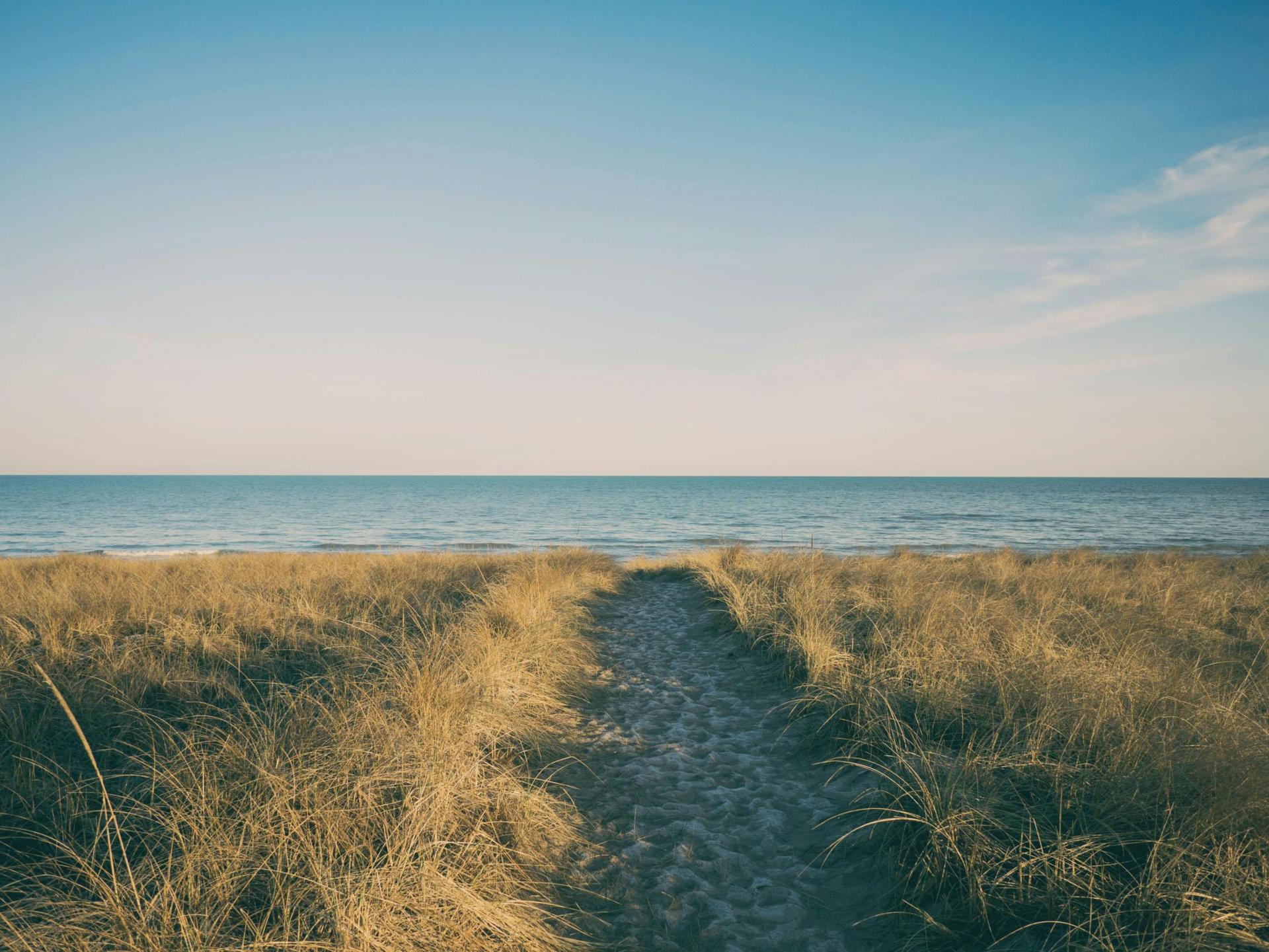 A path to the beach.