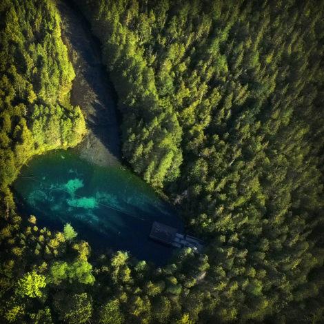 drone view of a freshwater spring in pine forest