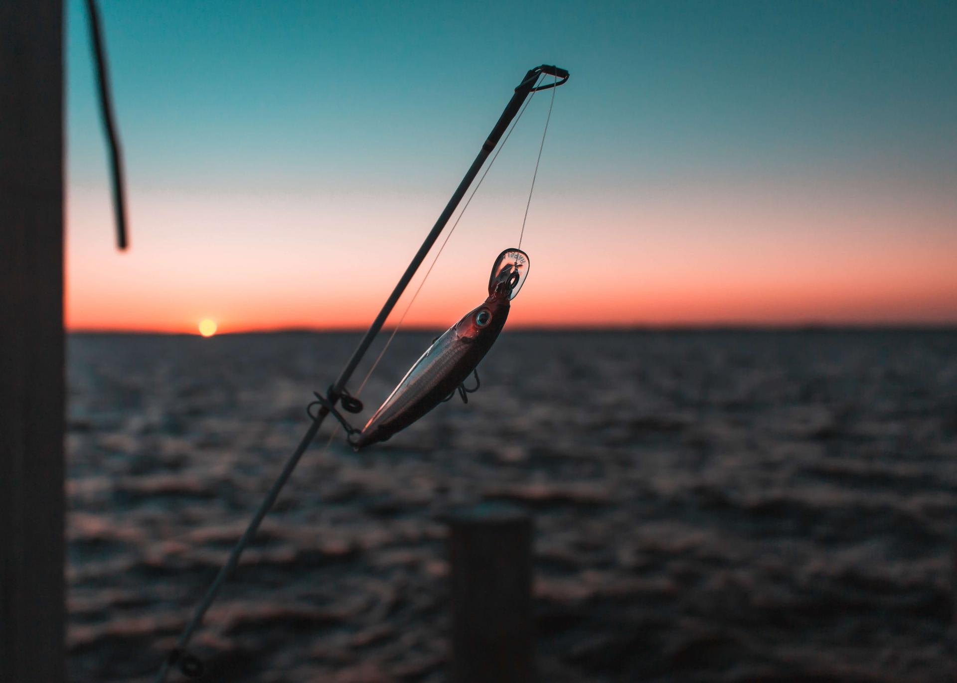 a lure for fishing walleye and trout.